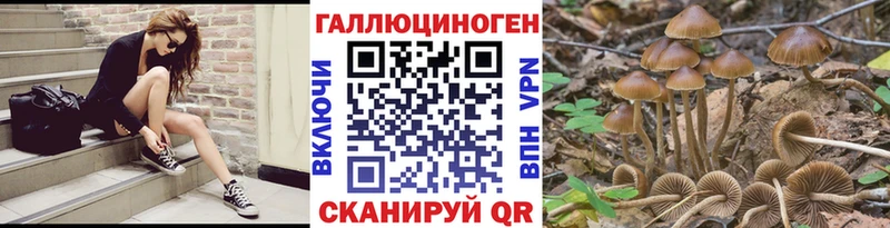 цены наркотик  omg tor  Псилоцибиновые грибы прущие грибы  Липки 